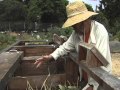 Urban Community Garden Class